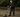 Plattrensningsmaskiner för den professionella hantverkaren