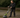 Plattrensningsmaskiner för den professionella hantverkaren