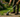 Effektiv ogräsbekämpning din väg till en vacker trädgård